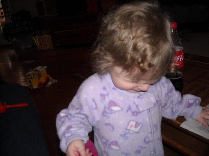 20081128_027